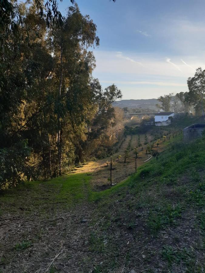 Viñuela Cortijo El Puenteゲストハウス エクステリア 写真